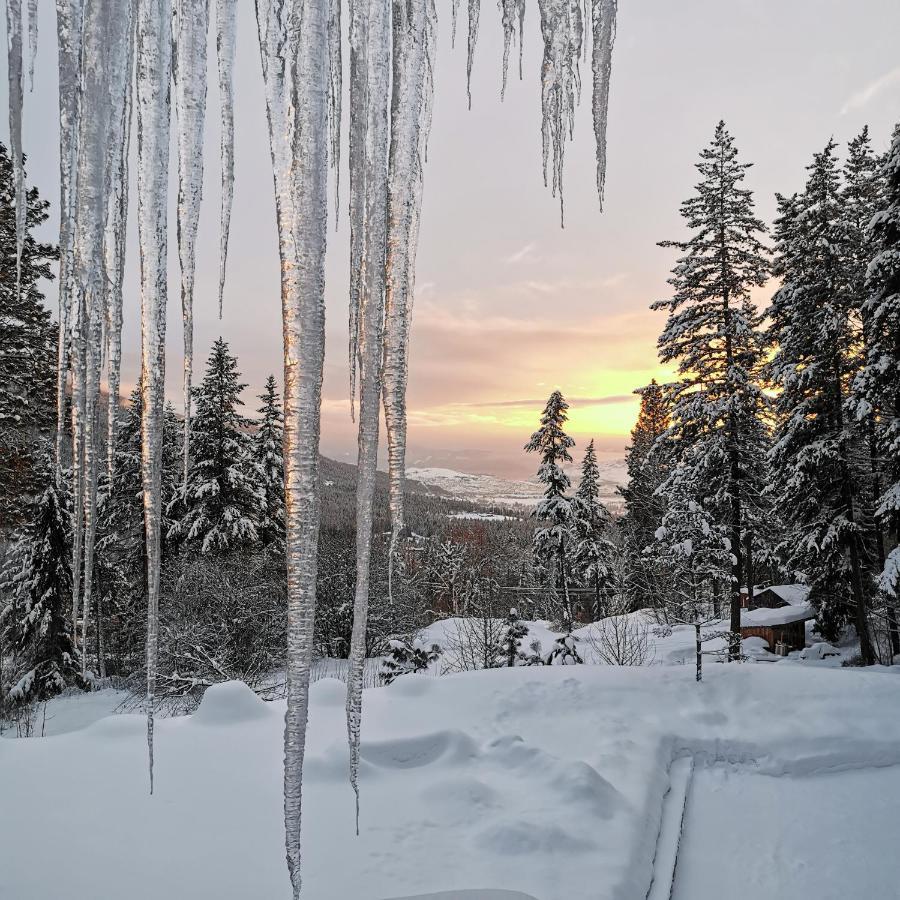 Spirit Lodge At Silverstar Βερνόν Εξωτερικό φωτογραφία